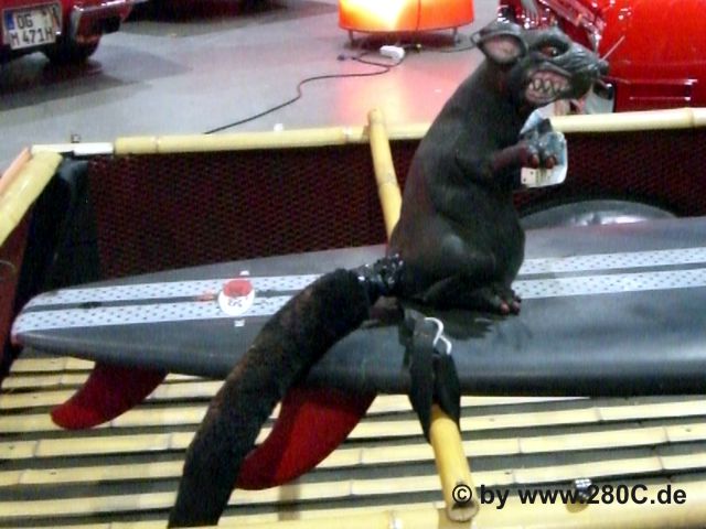 schauinslandklassik21